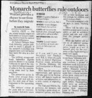 Monarch butterflies rule outdoors