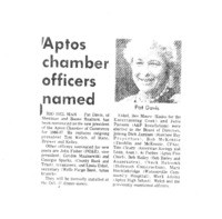 Aptos chamber officers named