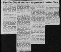 Pacific Grove moves to protect butterflies