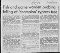 Fish and game warden probing felling of 'champion' cypress tree