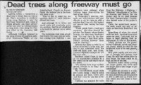 Dead trees along freeway must go