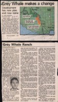 Grey Whale makes a change