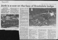 Junk is a scar on the face of Brookdale Lodge