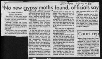 No new gypsy moths found, officials say
