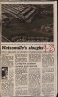 Watsonville's sloughs