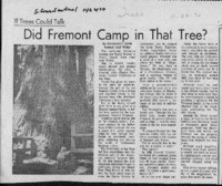 Did Fremont Camp in That Tree?