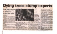 Dying trees stump experts: Tree pathologist is called in to test tan oaks