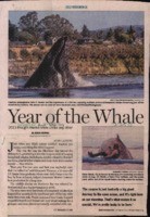 Year of the Whale