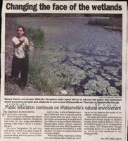 Changing the face of the wetlands