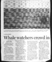 Whale watchers crowd in