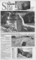 Elephant seals return to Ano Nuevo to mate, bear young