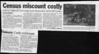 Census miscount costly