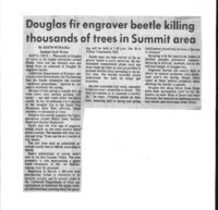 Douglas fir engraver beetle killing thousands of trees in Summit area