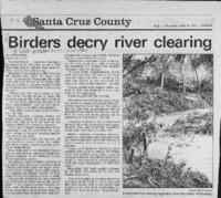 Birders decry river clearing