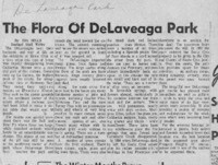 The flora of DeLaveaga Park