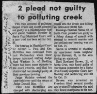 2 plead not guilty to polluting creek