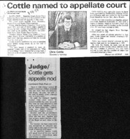 Cottle named to appellate court