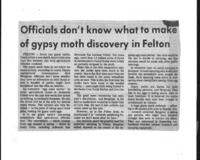 Officials don't know what to make of gypsy moth discovery in Felton