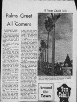 Palms Greet All Comers