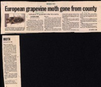 European grapevine moth gone from county