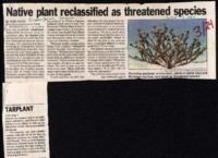 Native plant reclassified as threatened species