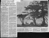 Cypress, pine trees endangered species