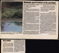 Wetlands parcel looked at for purchase