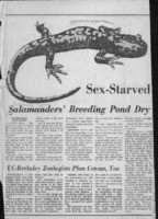 Salamanders' Breeding Pond Dry