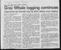 Gray Whale logging continues