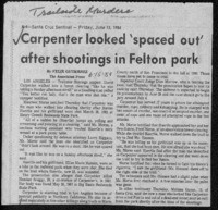 Carpenter looked 'spaced out' after shootings in Felton park