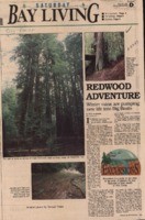 Redwood adventure: winter rains are pumping new life into Big Basin