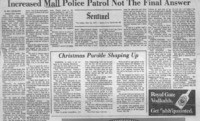 Increased Mall Police Patrol Not The Final Answer