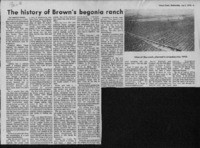 The history of Brown's begonia ranch