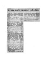 Gypsy moth traps set in Felton