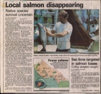 Local salmon disappearing