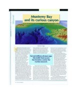 Monterey Bay and its curious canyon