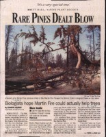 Rare Pines Dealt Blow