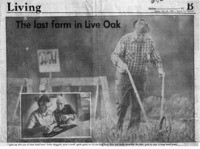 The last farm in Live Oak