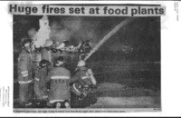 Huge fires set at food plants