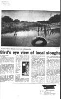 Bird's eye view of local sloughs