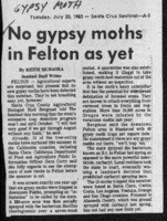 No gypsy moths in Felton yet