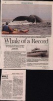 Whale of a Record