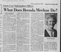 What does Brenda Meehan do?