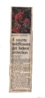 4 county wildflowers get federal protection