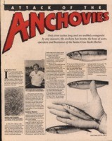 Attack of the anchovies