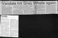 Vandals hit Grey Whale again