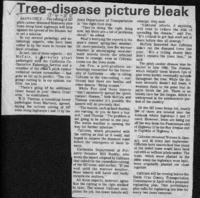 Tree-disease picture bleak