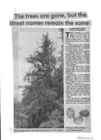 The trees are gone, but the street names remain the same