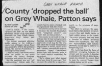 County 'dropped the ball' on Grey Whale, Patton says