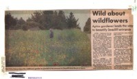 Wild about wildflowers: Aptos gardener leads the way to beautify Seacliff entrance